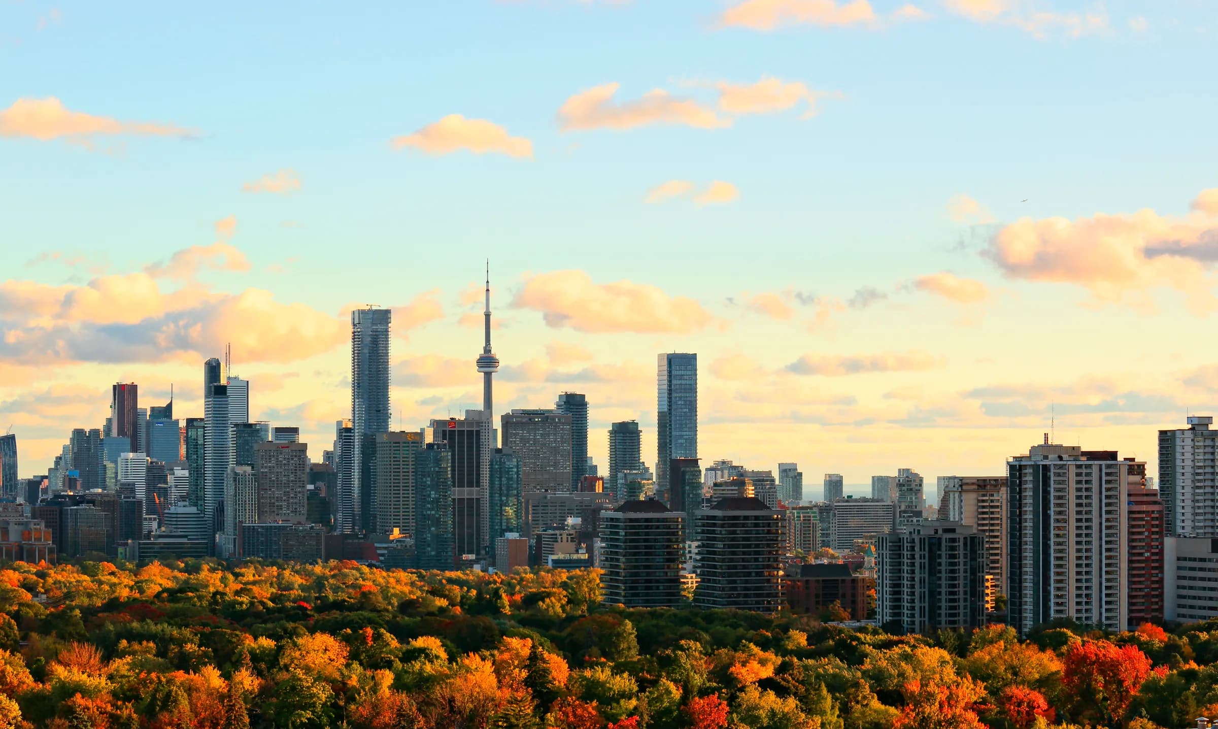 Toronto skyline beyond an autumn park