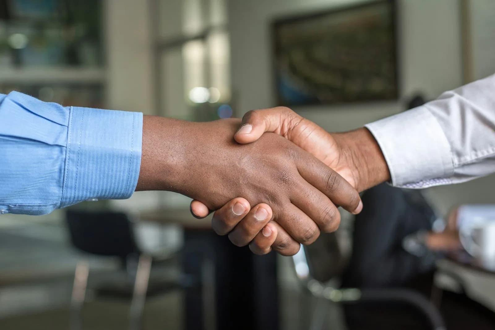 Two people shaking hands after a consultation